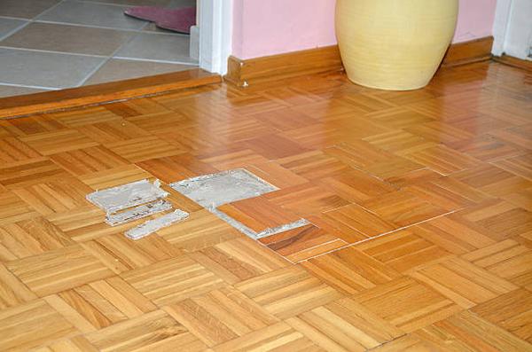 Water Damage Restoration: Protecting Your Property from Long-Term Damage